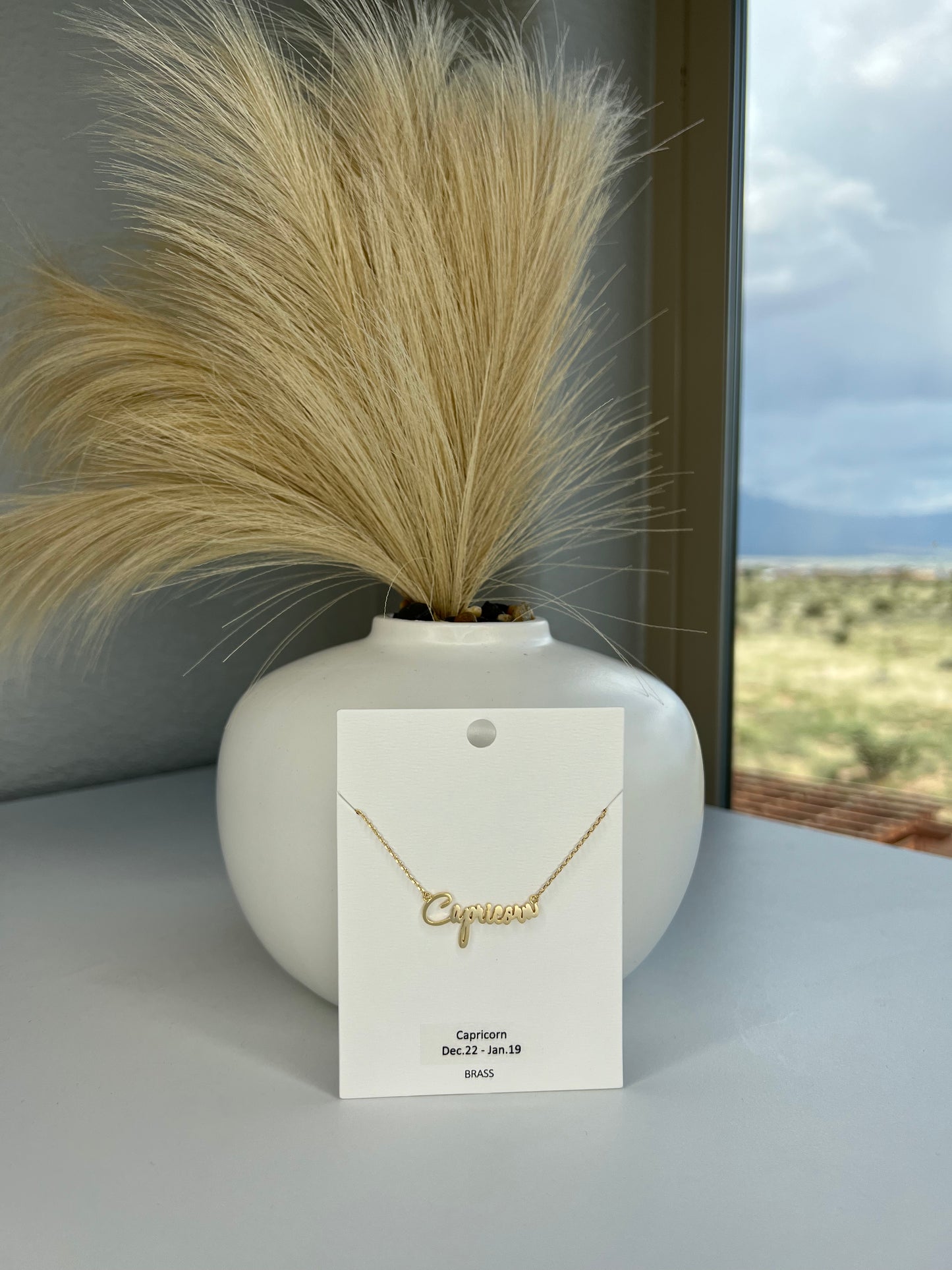 Capricorn Necklace